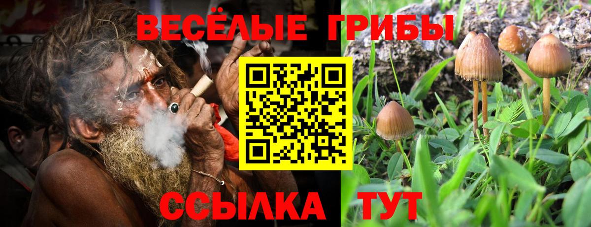 Клин  Псилоцибиновые грибы Psilocybine cubensis  Псилоцибиновые грибы MAGIC MUSHROOMS  Вход с VPN 